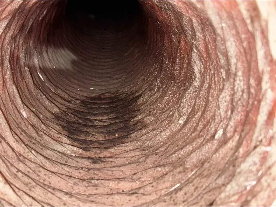 Camera Duct Inspection & Air-Quality Assessment